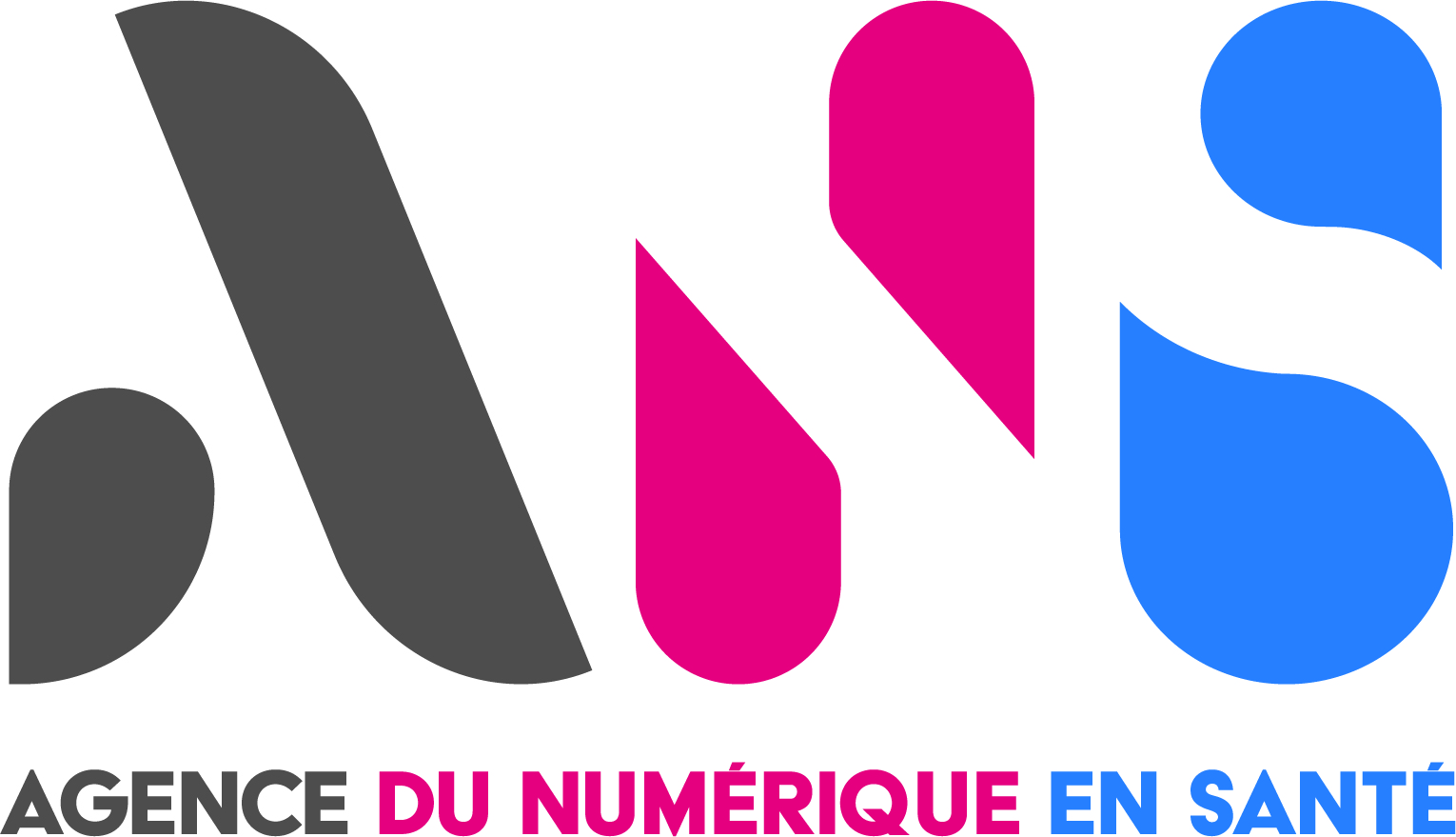 LOGO_ANS_2020_sigle